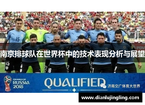南京排球队在世界杯中的技术表现分析与展望