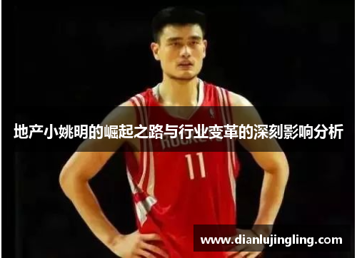 地产小姚明的崛起之路与行业变革的深刻影响分析