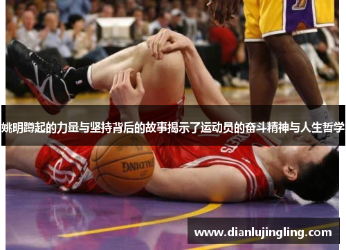 姚明蹲起的力量与坚持背后的故事揭示了运动员的奋斗精神与人生哲学