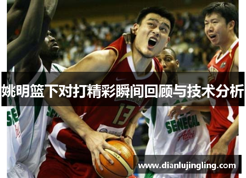 姚明篮下对打精彩瞬间回顾与技术分析