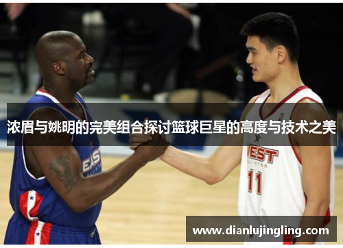 浓眉与姚明的完美组合探讨篮球巨星的高度与技术之美